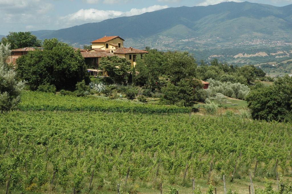 Locanda Casanuova Figline Valdarno Ngoại thất bức ảnh